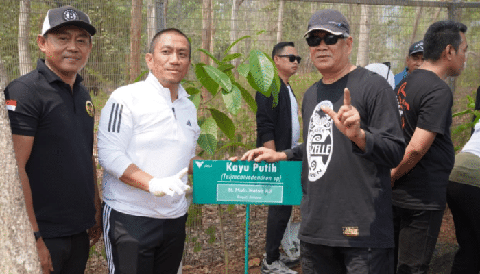Sekda Selayar Tanam Kayu Putih di Kawasan Konservasi PT Vale, Bagian dari Harkopnas ke-79
