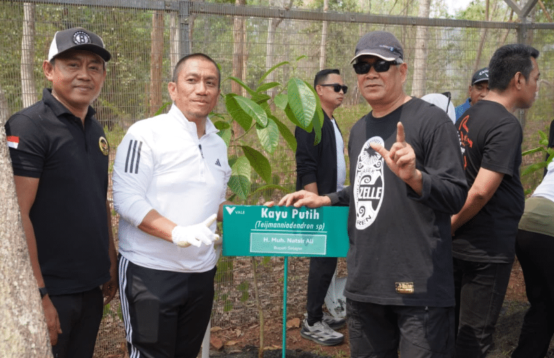 Bupati Selayar Tanam Kayu Putih di Kawasan Konservasi PT Vale