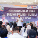 Rampung Lewat Skema Multiyears, Jalan Burung-Burung–Bili-Bili Resmi Dibuka