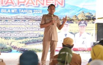 Hadiri Mappadendang di Desa Bila, Bupati Sidrap Dorong Petani Tingkatkan Produktivitas