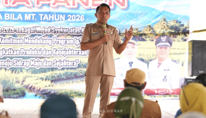 Hadiri Mappadendang di Desa Bila, Bupati Sidrap Dorong Petani Tingkatkan Produktivitas