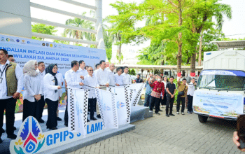 Tekan Inflasi Pangan, Wagub Sulsel Dorong Konektivitas dan Kerja Sama Antardaerah